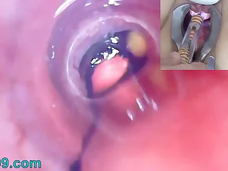 905 extreme porn videos